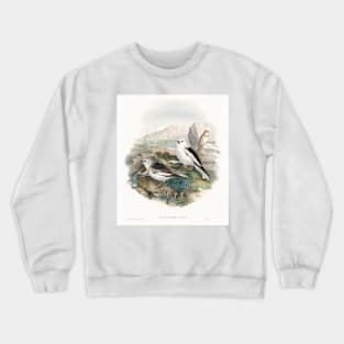 The birds of Great Britain (1873) Crewneck Sweatshirt